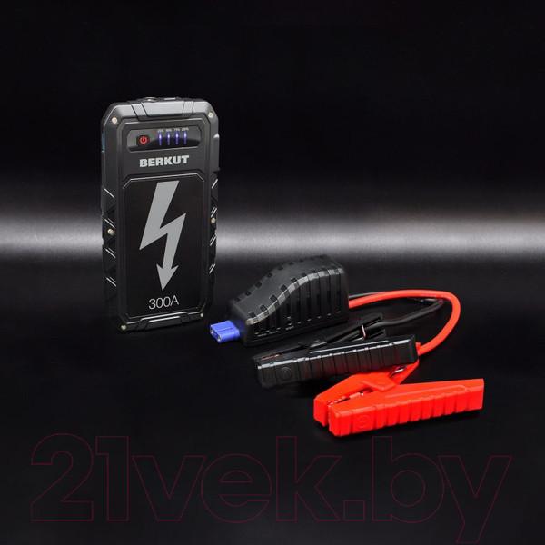 Изображение товара Пусковое устройство Беркут Specialist JSL-9000