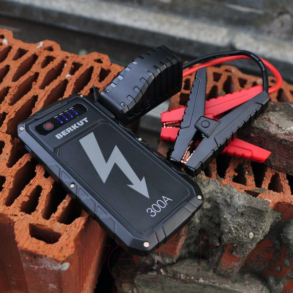 Изображение товара Пусковое устройство Беркут Specialist JSL-9000