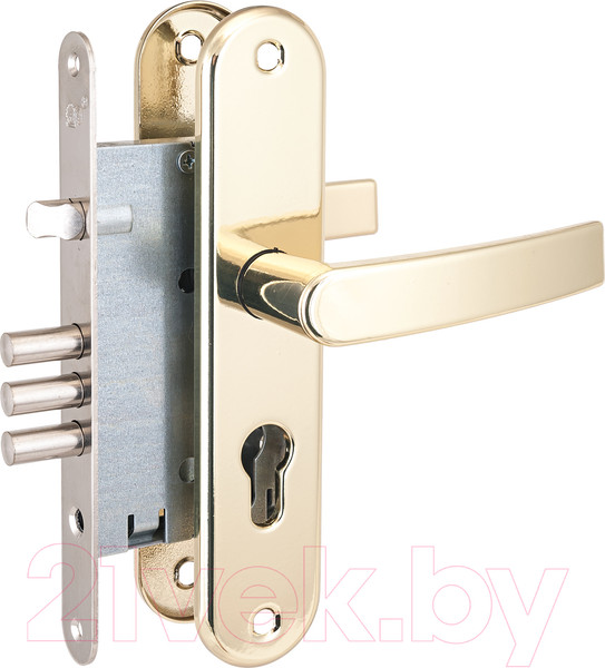 Изображение товара Замок врезной ПроСам ЗВ 4-31/55.РФ.55-016 м/о 55мм без ц/м удлинненная планка / 78926 (латунь)