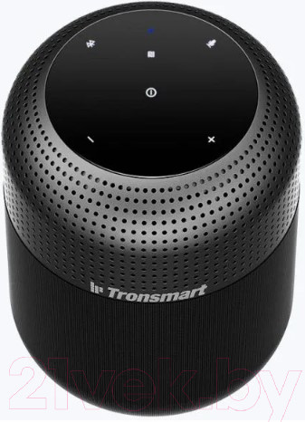 Изображение товара Портативная колонка Tronsmart Element T6 Max (черный)