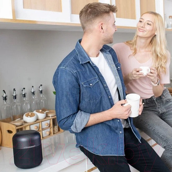 Изображение товара Портативная колонка Tronsmart Element T6 Max (черный)