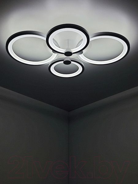 Изображение товара Потолочный светильник Mirastyle Диод CF-16134/2+2 WH ML