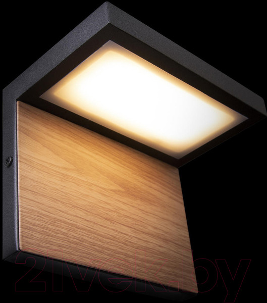 Изображение товара Бра уличное Loftit Oak 100001W