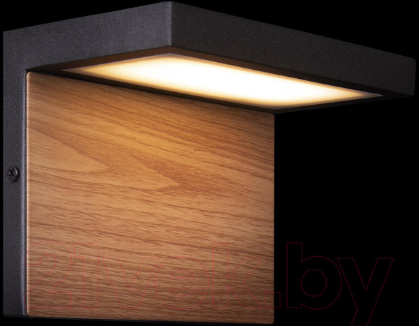 Изображение товара Бра уличное Loftit Oak 100001W