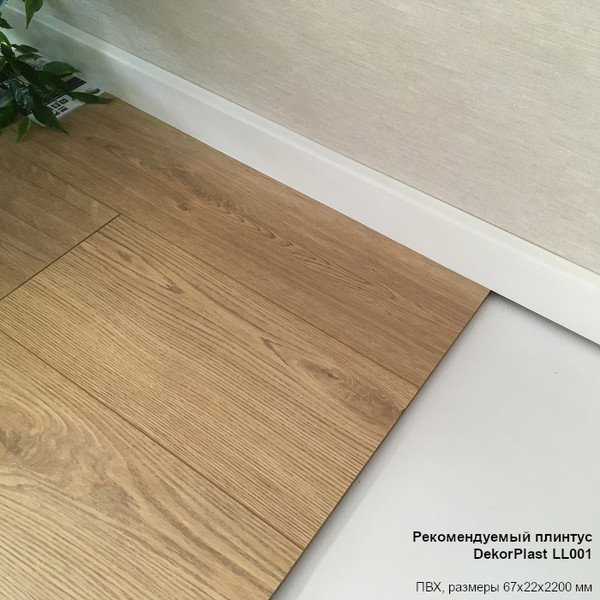 Изображение товара Ламинат Egger Basic Дуб Харридж натуральный EBL053