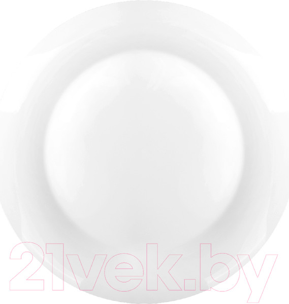 Изображение товара Тарелка столовая обеденная Sam&Squito Classic JXA389-06 / фк810