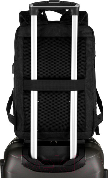 Изображение товара Рюкзак David Jones PC-038 (черный)