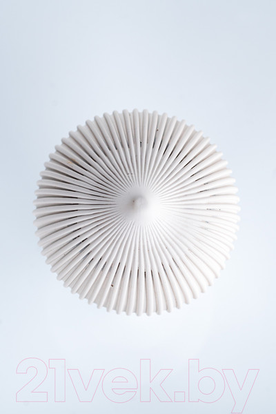 Изображение товара Карниз для штор Merry Bear Home Decor Мекка двойной (1.6м, белый матовый)