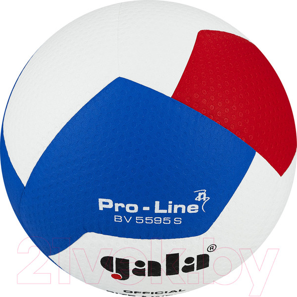 Изображение товара Мяч волейбольный Gala Sport Pro-Line 12 / BV5595SA (размер 5, белый/красный/голубой)
