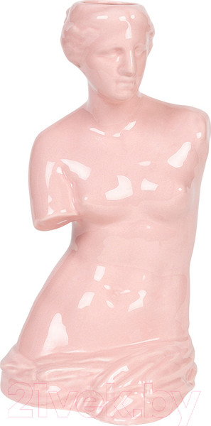 Изображение товара Ваза Doiy Venus / DYVASEVEPK (розовый)