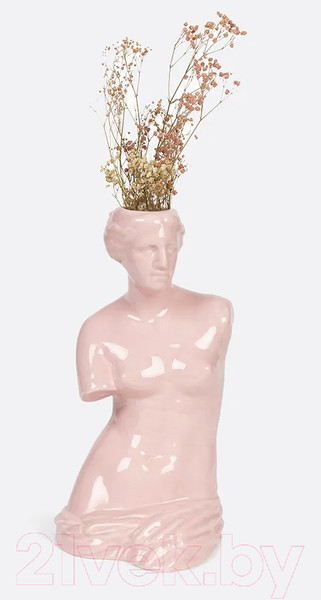 Изображение товара Ваза Doiy Venus / DYVASEVEPK (розовый)