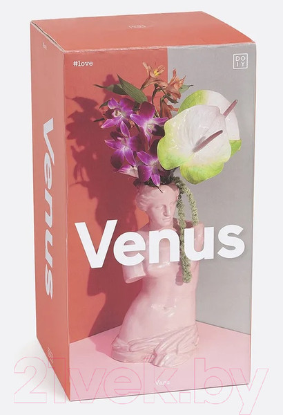 Изображение товара Ваза Doiy Venus / DYVASEVEPK (розовый)
