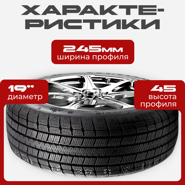 Изображение товара Зимняя шина Joyroad Winter RX821 245/45R19 102H XL