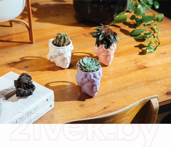 Изображение товара Кружка Doiy Venus / DYMUGVELI (лиловый)