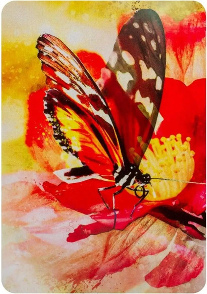 Изображение товара Гадальные карты Blue Angel Publishing Butterfly Affirmations / BA44