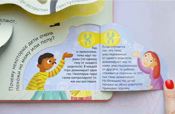 Изображение товара Развивающая книга Робинс Волшебные окошки. Откуда берутся дети?