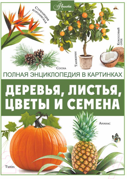 Изображение товара Энциклопедия АСТ Деревья, листья, цветы и семена (Спектор А.А.)