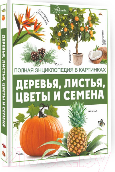 Изображение товара Энциклопедия АСТ Деревья, листья, цветы и семена (Спектор А.А.)