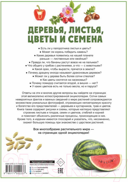 Изображение товара Энциклопедия АСТ Деревья, листья, цветы и семена (Спектор А.А.)