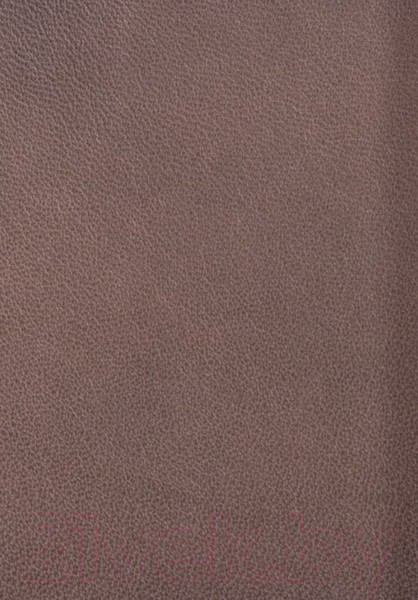 Изображение товара Книга АСТ Русская история в жизнеописаниях ее главнейших деятелей (Костомаров Н.)