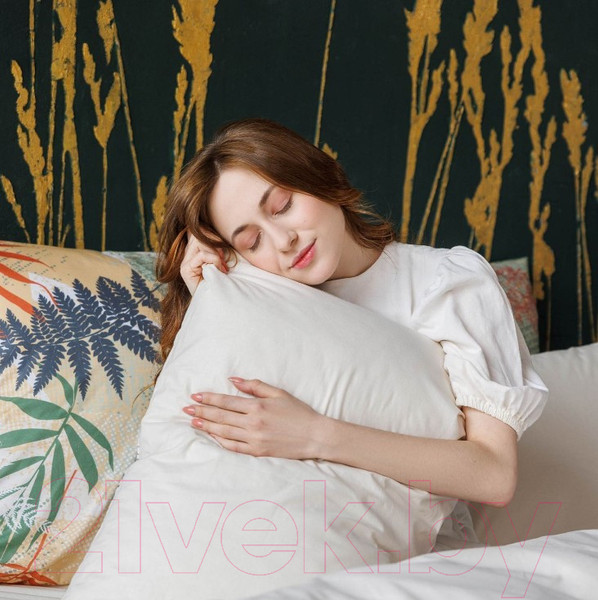 Изображение товара Комплект постельного белья Волшебная ночь Волшебная ночь Fern КПБ ВН 2017 8476/2+полубел