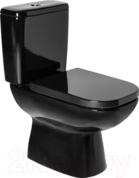 Изображение товара Унитаз напольный Wanfald Norden (черный)
