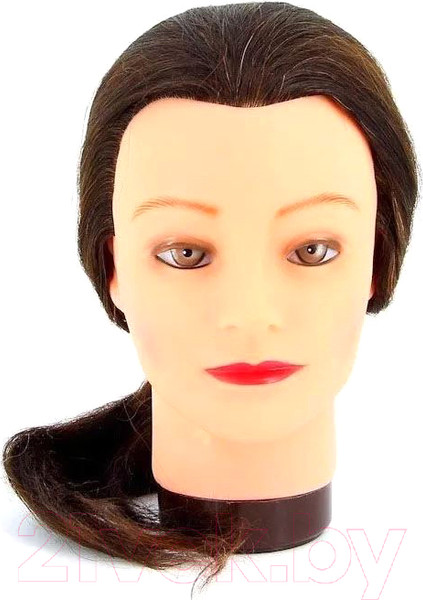 Изображение товара Манекен для причесок Dewal 4151-L-6