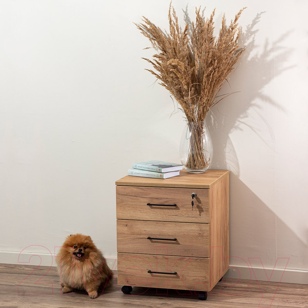 Изображение товара Тумба Millwood TM4 подкатная с замком (дуб золотой Craft)