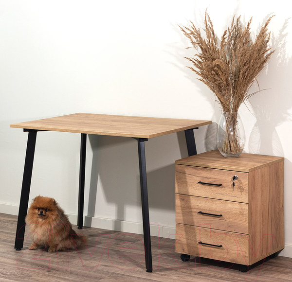 Изображение товара Тумба Millwood TM4 подкатная с замком (дуб золотой Craft)