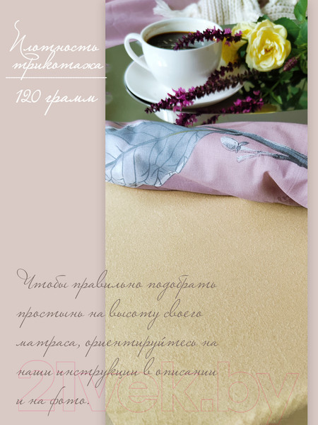 Изображение товара Простыня Luxsonia Трикотаж на резинке 200x200 / Мр0010-1 (бежевый)