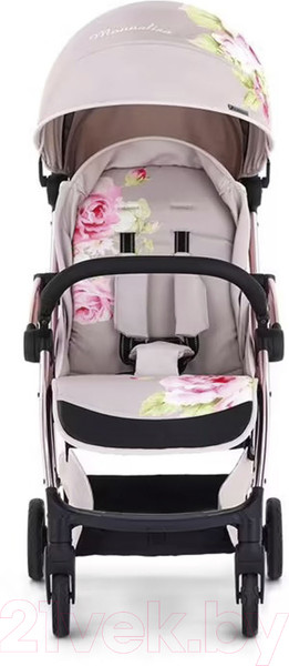 Изображение товара Детская прогулочная коляска Leclerc Baby By Monnalisa / MON28427 (Birch)