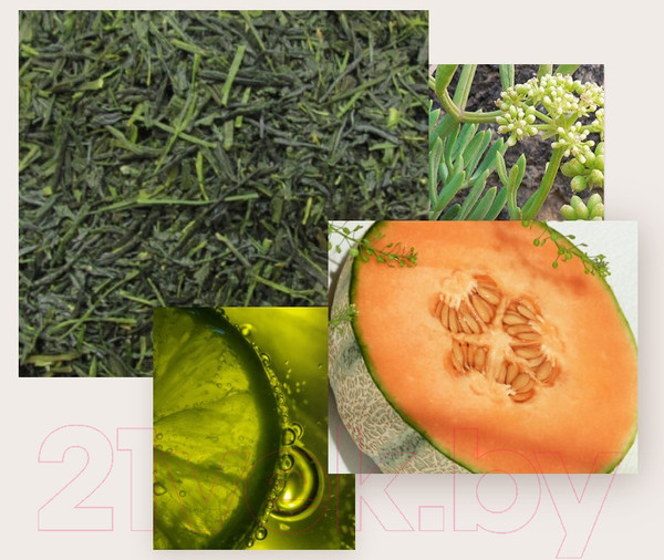 Изображение товара Парфюмерная вода State of Mind Open Mind (10мл)