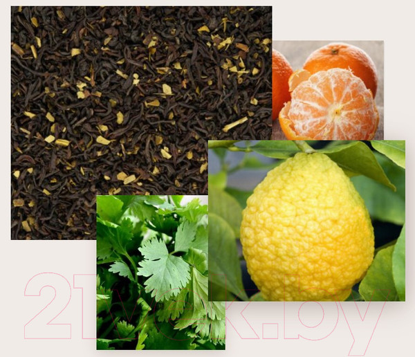 Изображение товара Парфюмерная вода State of Mind Sense Of Humor (10мл)