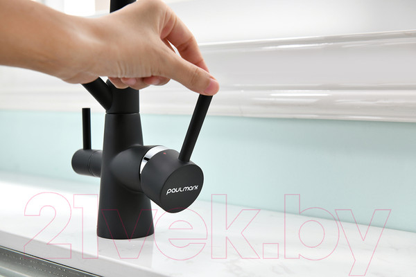 Изображение товара Смеситель Paulmark Siegen Si213111-401TB