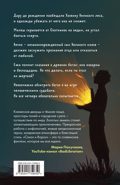 Изображение товара Книга Черным-бело Золотые земли. Сокол и Ворон (Черкасова У.)