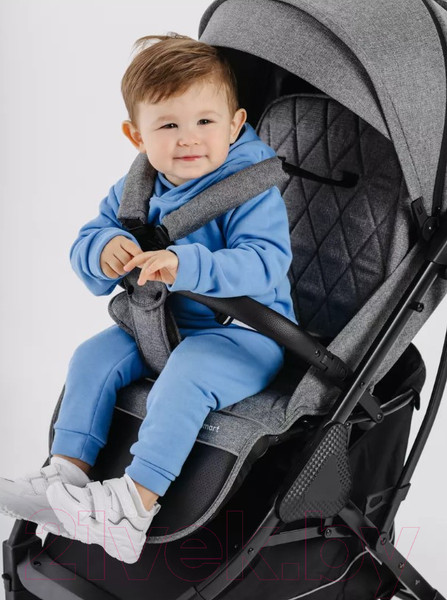 Изображение товара Детская прогулочная коляска MOWbaby Smart 2023 / MB101 (Grey)