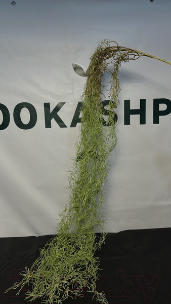 Изображение товара Искусственное растение Артфлора Тилландсия Уснеевидная / 107016