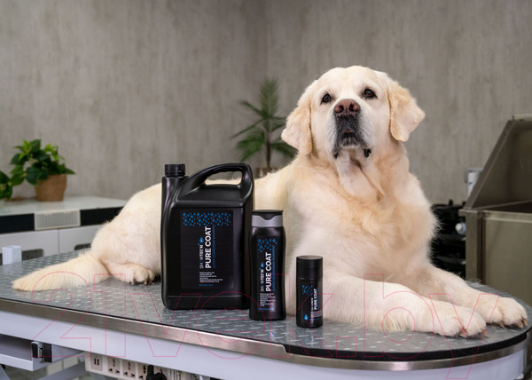 Изображение товара Шампунь для животных Show Tech Pure Coat для обезжиривания / 41STP025 (5л)