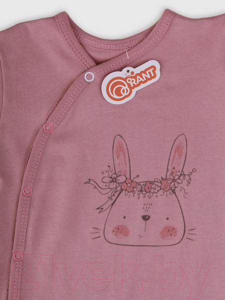 Изображение товара Набор комбинезонов для малышей Rant Big Dream (2шт, Cloud Pink, р.74)
