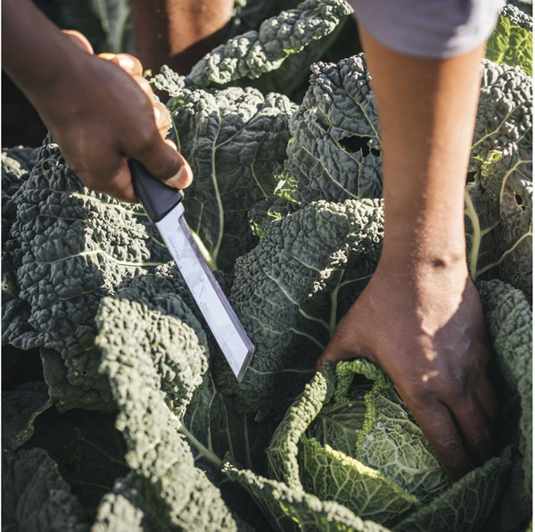 Изображение товара Нож садовый Fiskars 1062830