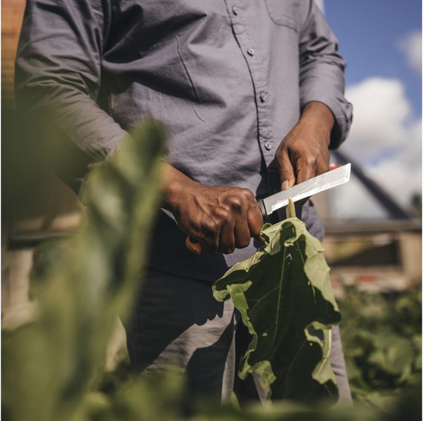 Изображение товара Нож садовый Fiskars 1062830