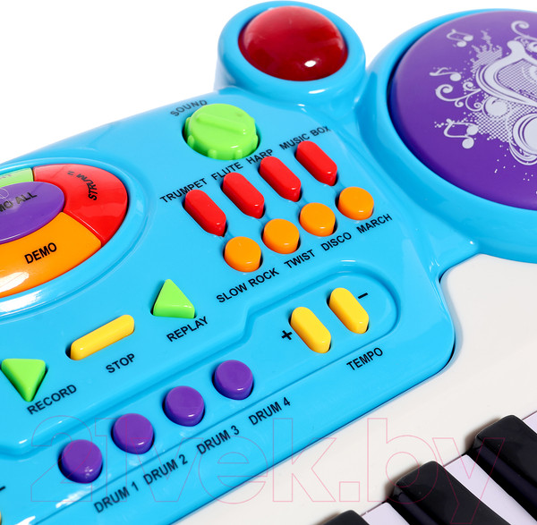 Изображение товара Музыкальная игрушка Sima-Land Лучший музыкант / 2638691