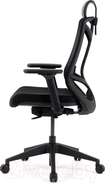 Изображение товара Кресло офисное Chair Meister Nature II 3D с подлокотниками слайдер (черный/черный)