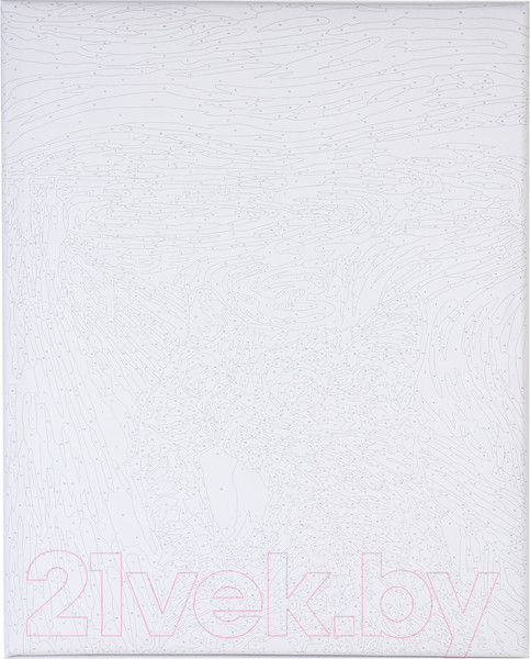 Изображение товара Картина по номерам Школа талантов Кот в поле / 7990295