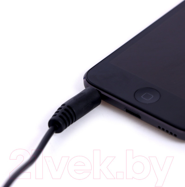 Изображение товара Музыкальная игрушка Sima-Land Играй и пой HD-775 / 6980902