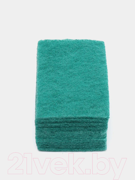 Изображение товара Набор салфеток хозяйственных Merida T605 (10шт)