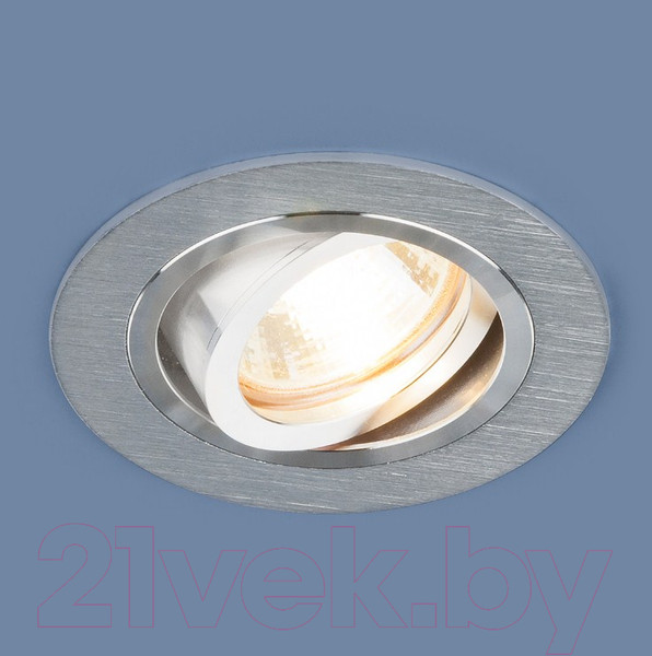 Изображение товара Точечный светильник Elektrostandard 1061/1 MR16 SL