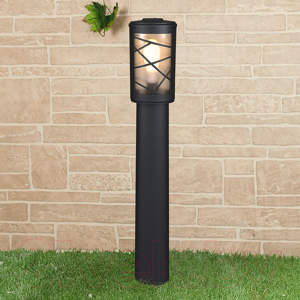 Изображение товара Светильник уличный Elektrostandard Premier F GL 1017F