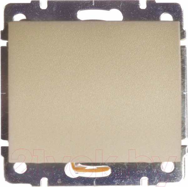 Изображение товара Декоративная заглушка для розетки Legrand Galea Life 771478 (титан)