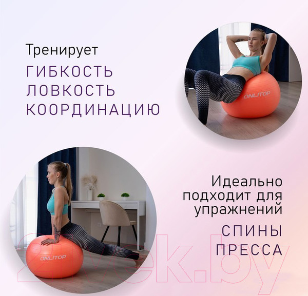 Изображение товара Фитбол гладкий Onlytop 3543998 (серый)